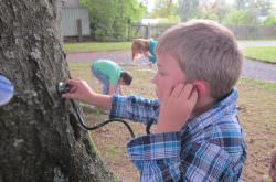 Ein Junge hört einen Baum ab
