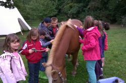 Kinder streicheln ein Pferd während der Ferienfreizeit